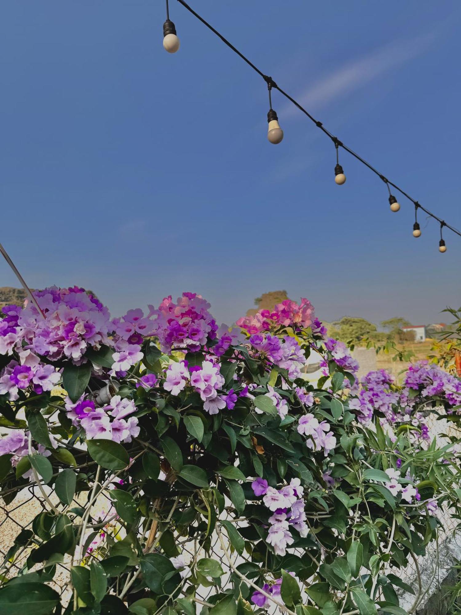 Rosa Garden Ξενοδοχείο Νιν Μπιν Εξωτερικό φωτογραφία